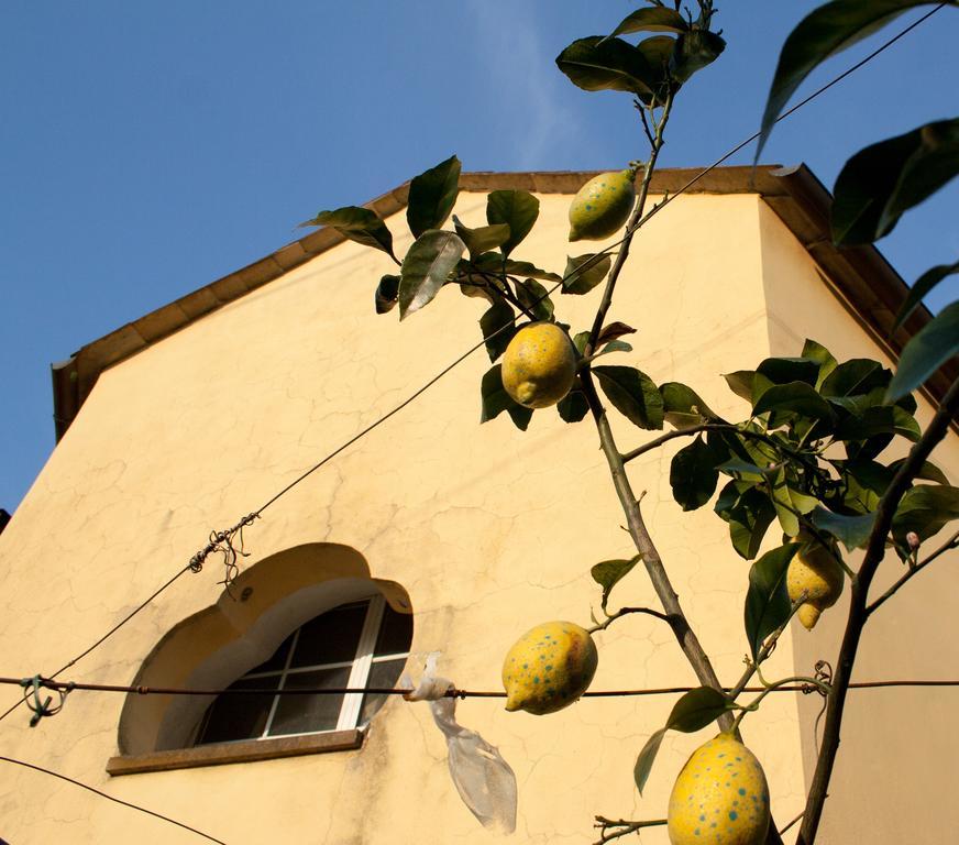 Family House Lägenhet Levanto Rum bild