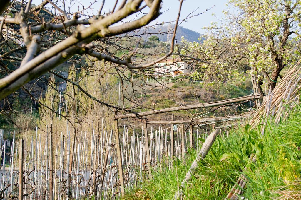 Family House Lägenhet Levanto Rum bild